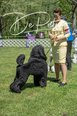 20190427-DSC09461