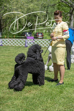 20190427-DSC09464