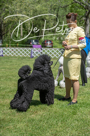 20190427-DSC09462