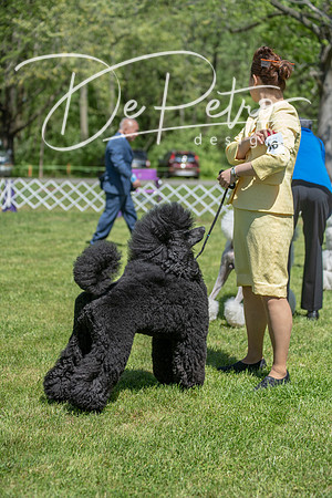 20190427-DSC09466
