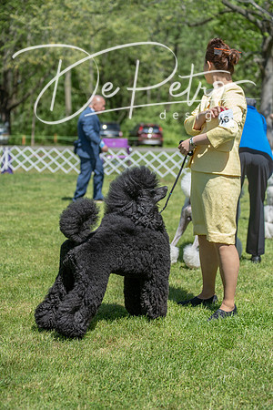 20190427-DSC09465
