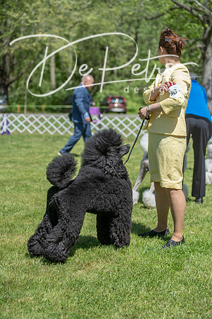 20190427-DSC09467
