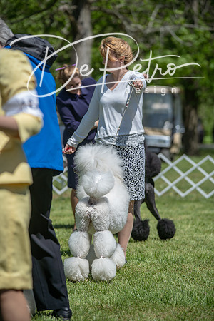 20190427-DSC09469