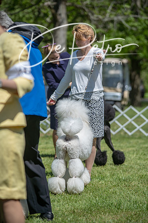 20190427-DSC09468