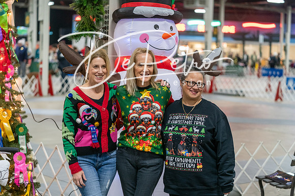 20231209-DSC07737