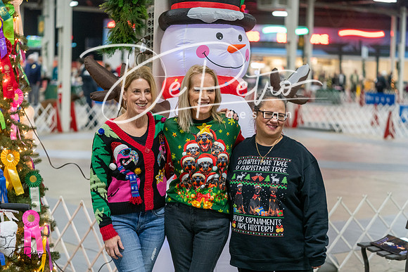 20231209-DSC07738