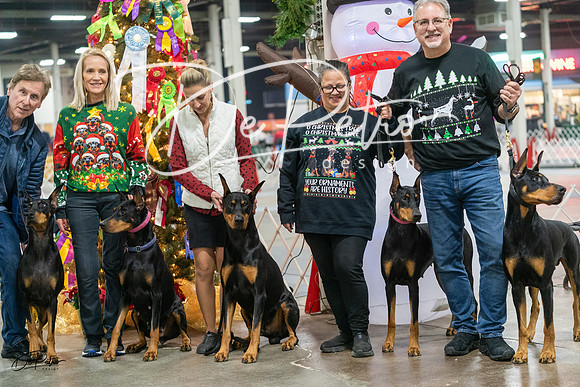 20231209-DSC07754