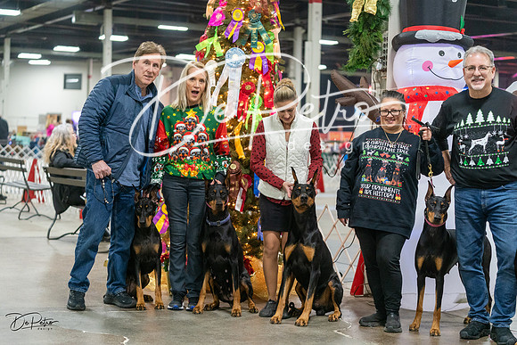 20231209-DSC07762