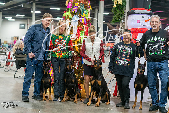 20231209-DSC07763
