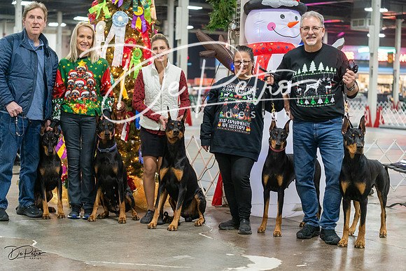20231209-DSC07765