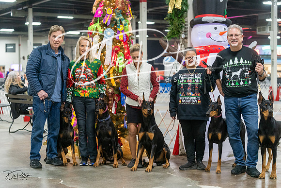 20231209-DSC07771