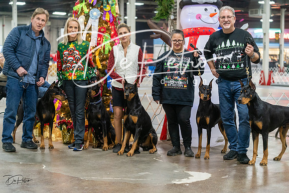 20231209-DSC07778
