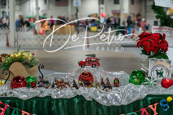20231209-DSC07781