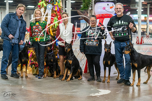 20231209-DSC07779