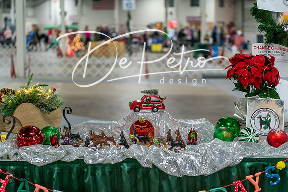 20231209-DSC07782