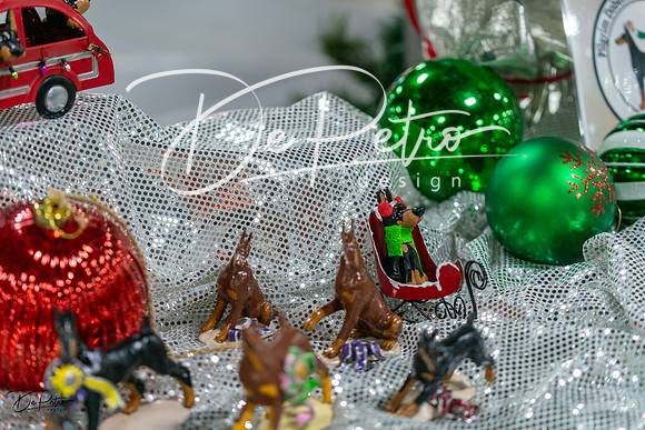 20231209-DSC07787