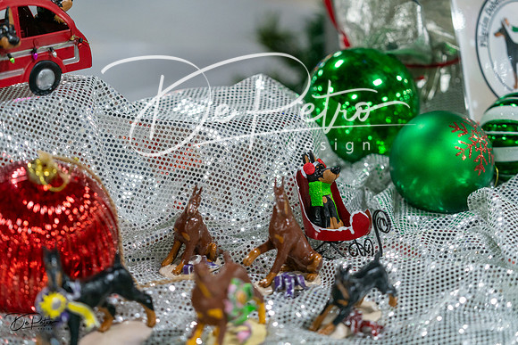 20231209-DSC07788