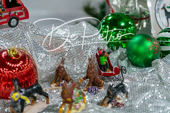 20231209-DSC07790