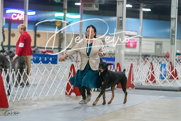 20231209-DSC07971