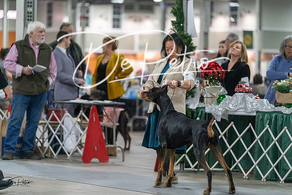 20231209-DSC07979