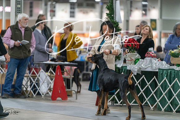 20231209-DSC07980