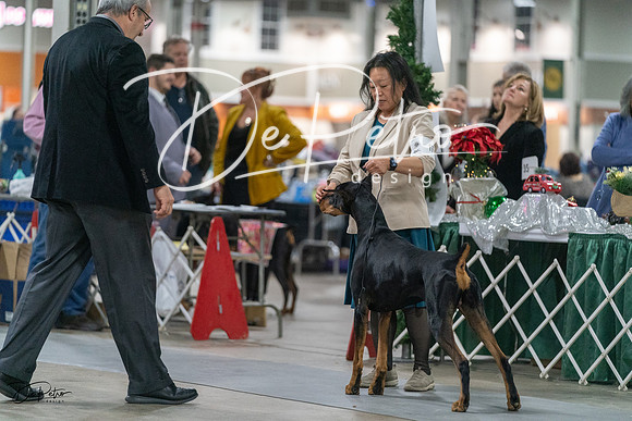 20231209-DSC07982