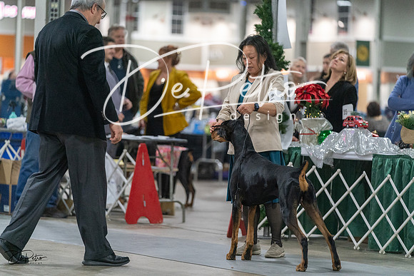 20231209-DSC07983
