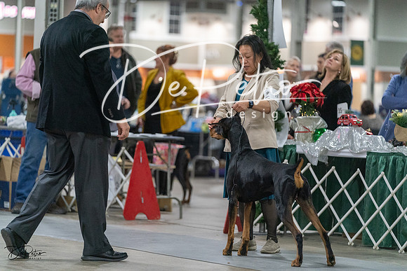 20231209-DSC07984