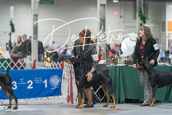 20231209-DSC08015