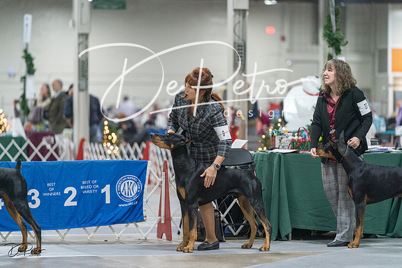 20231209-DSC08016