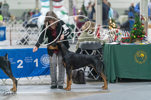 20231209-DSC08025
