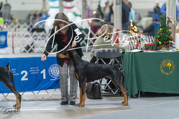 20231209-DSC08026