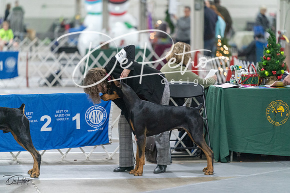 20231209-DSC08031