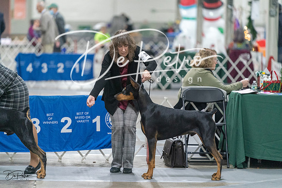 20231209-DSC08085