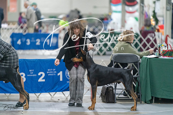 20231209-DSC08086