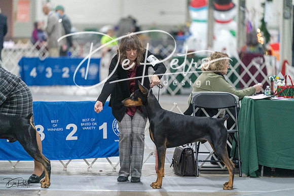20231209-DSC08087