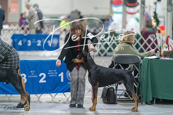 20231209-DSC08088