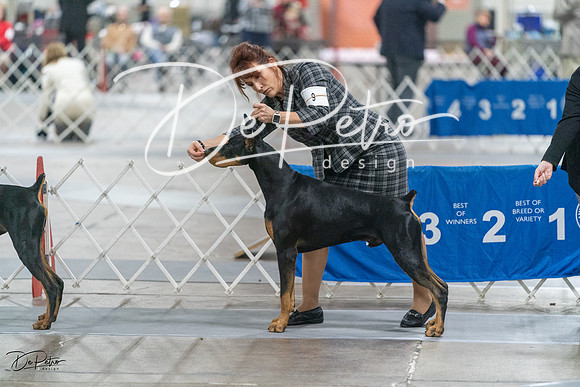 20231209-DSC08093