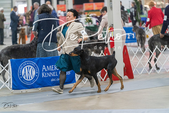 20231209-DSC08105