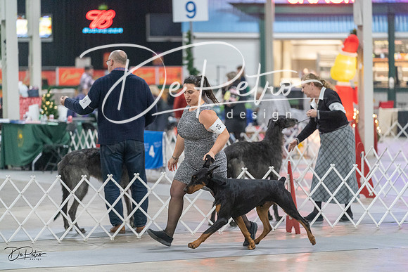 20231209-DSC08116