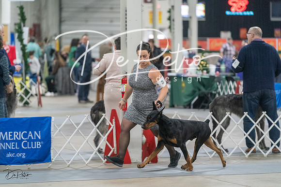 20231209-DSC08130