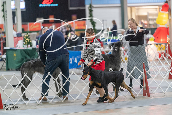 20231209-DSC08141