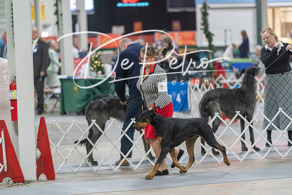 20231209-DSC08146