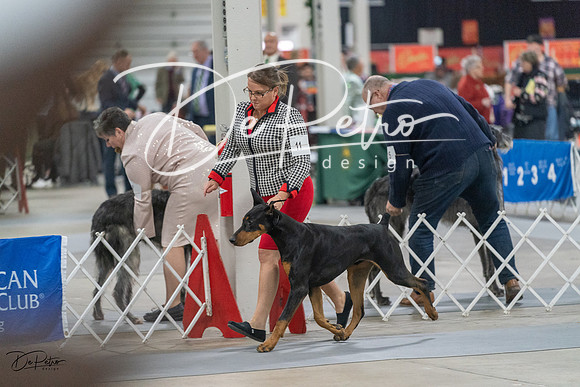 20231209-DSC08156