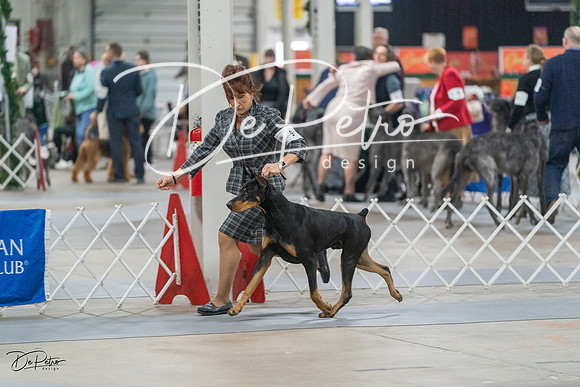 20231209-DSC08233