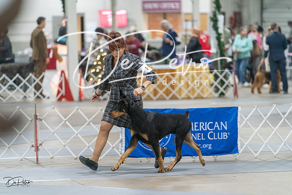20231209-DSC08243