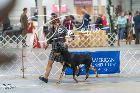 20231209-DSC08244