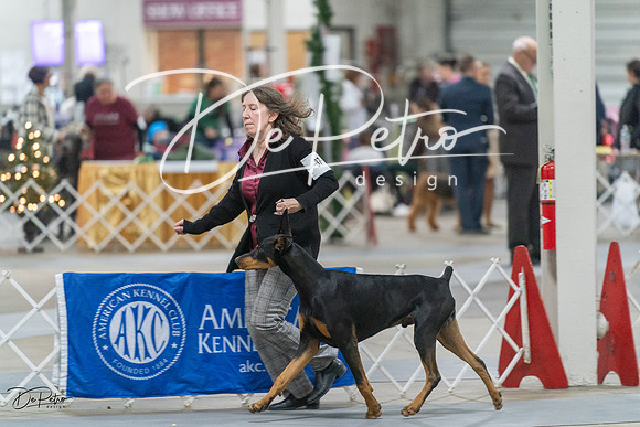 20231209-DSC08266