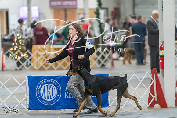 20231209-DSC08267