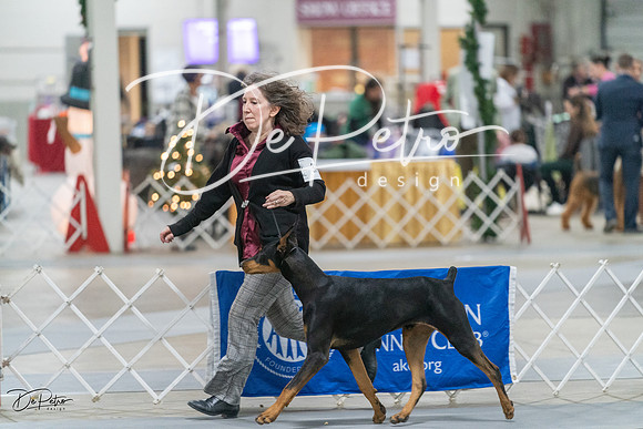 20231209-DSC08271